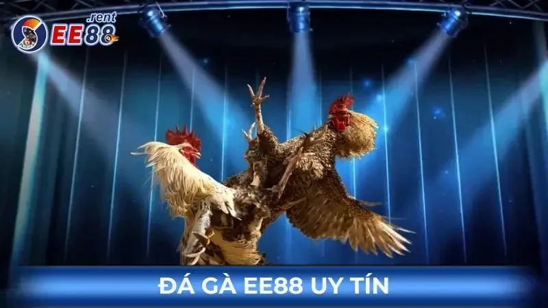 kinh-nghiem-da-ga-online-EE88-uy-tin